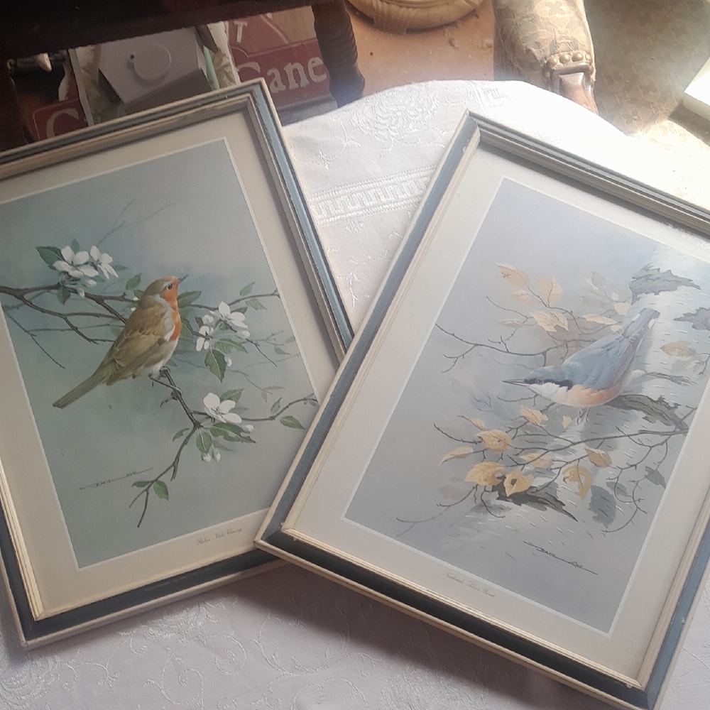 Framed Bird Art Prints